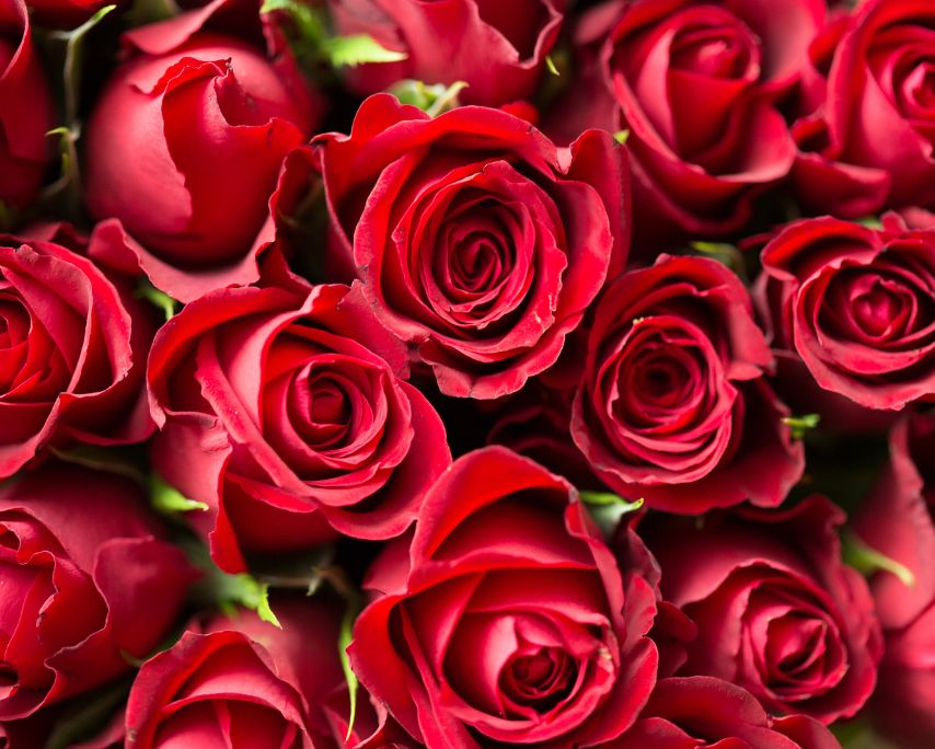 Valentines Early Evening